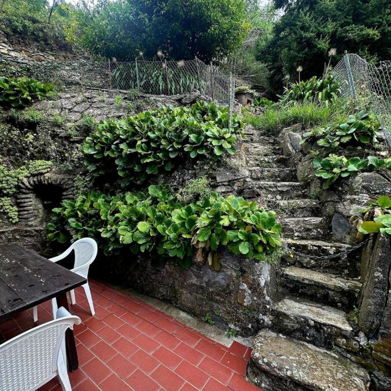 Mare di Luna - AC - WiFi - Garden - 2 Parking Spaces - Apartamento - 55