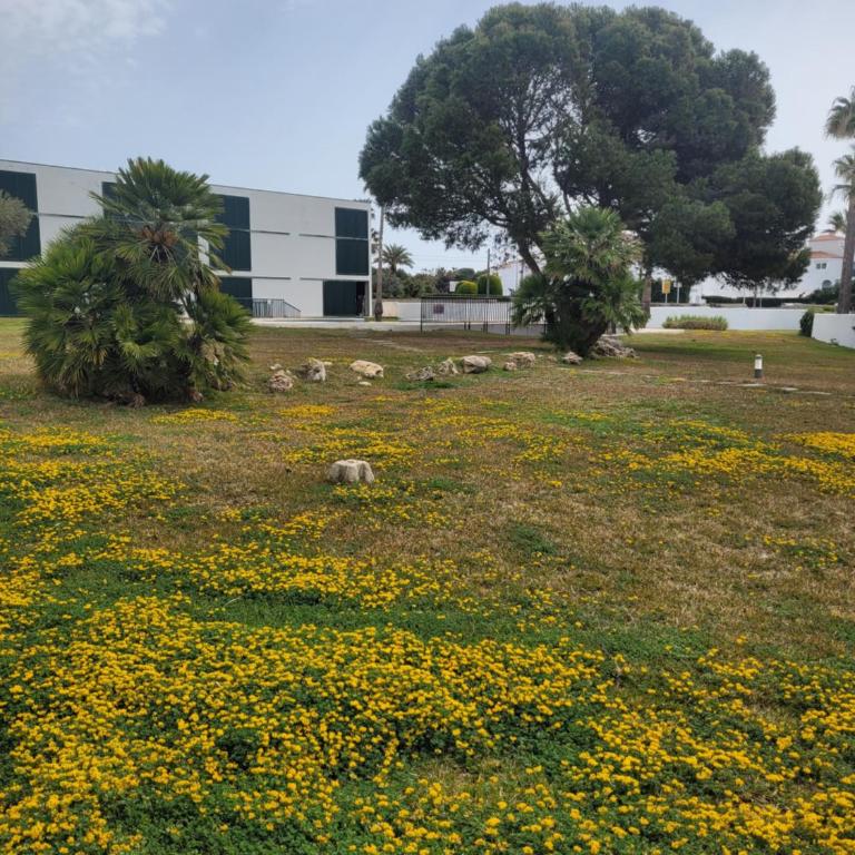 Cala en Bosc appartamento con piscina - Apartamento de 2 dormitorios - 3