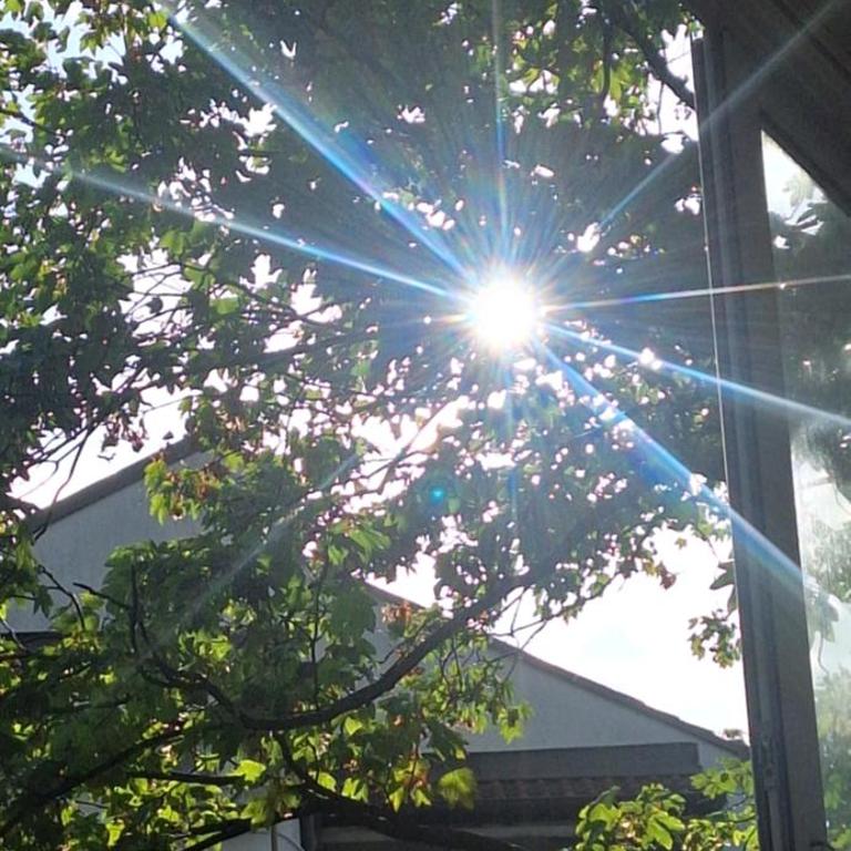 Divine Fortune - Apartman sa 1 Spavaćom Sobom - 2