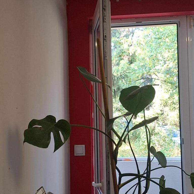 Divine Fortune - Apartman sa 1 Spavaćom Sobom - 6