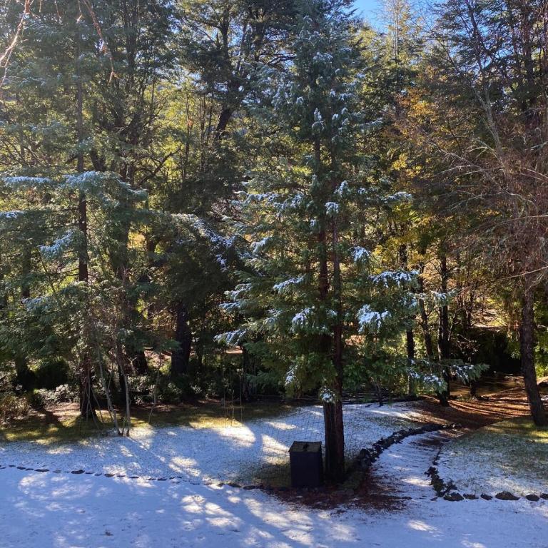 Tiny house para dos - Chalet de 1 dormitorio - 2