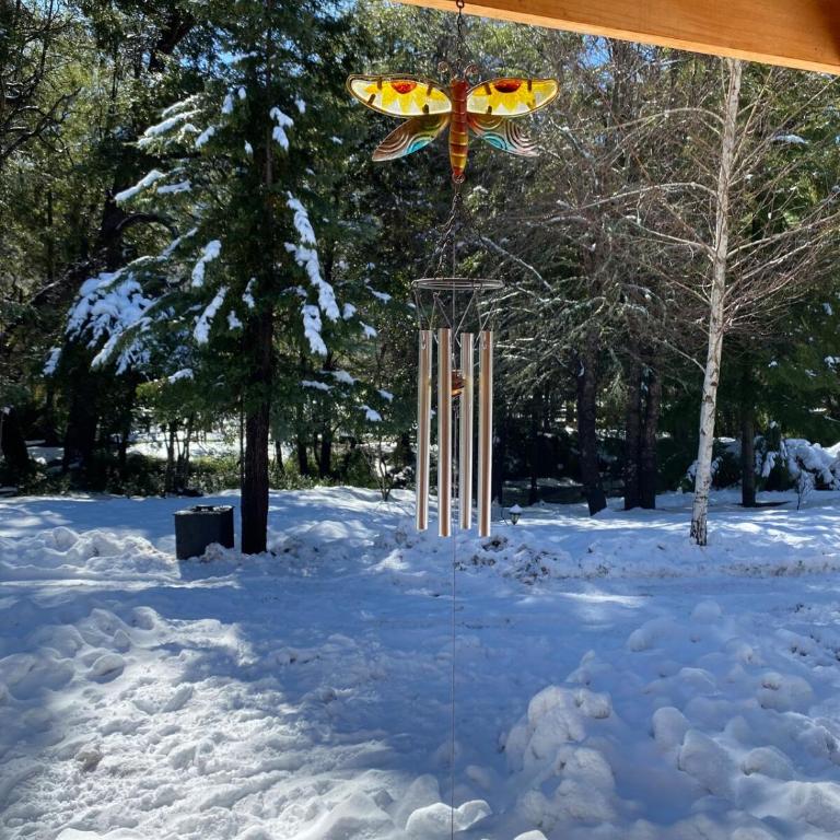 Tiny house para dos - Chalet de 1 dormitorio - 14