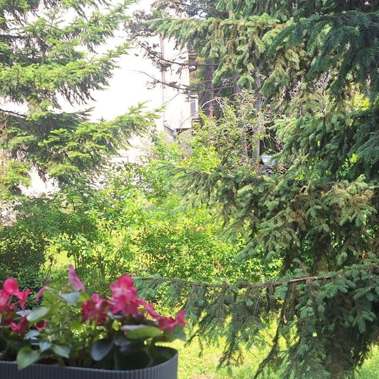 Divine Fortune - Apartman sa 1 Spavaćom Sobom - 20