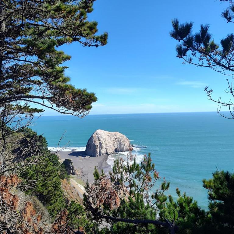 Cabañas Mongetum - Two-Bedroom House - 12