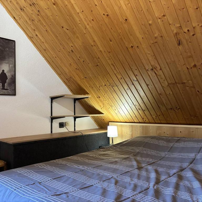 Duplex 4 étoiles, Villard-de-Lans, 8 pers, lumineux - FR-1-548-49 - Apartment - 10