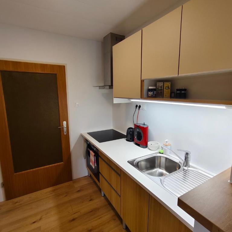 Grünerbalkon Ferienappartement - Apartment mit 1 Schlafzimmer - 11