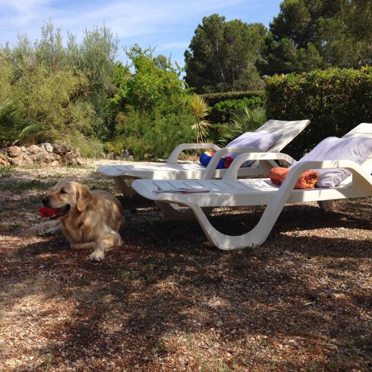 Premium property Cap Roig Beach - Casa - 32