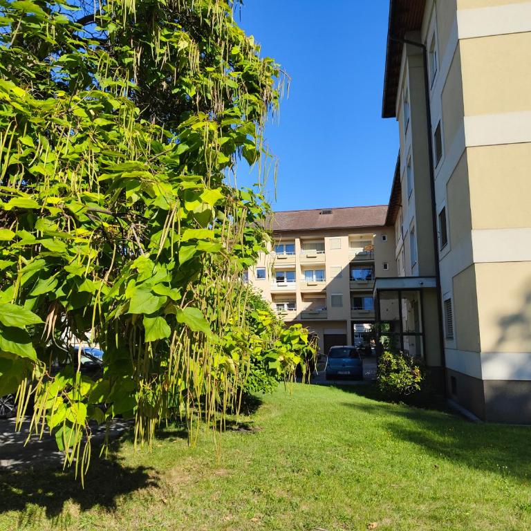 Grünerbalkon Ferienappartement - Apartment mit 1 Schlafzimmer - 15