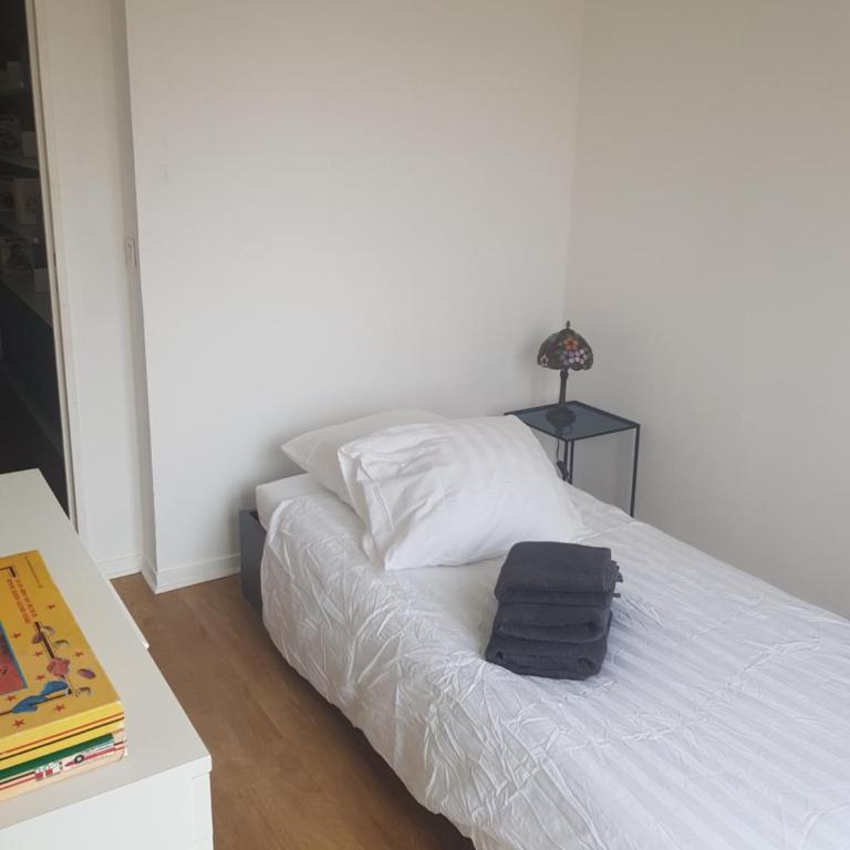 Appartement en duplex, proche du centre ville, parking privé - Appartement 2 Chambres - 11