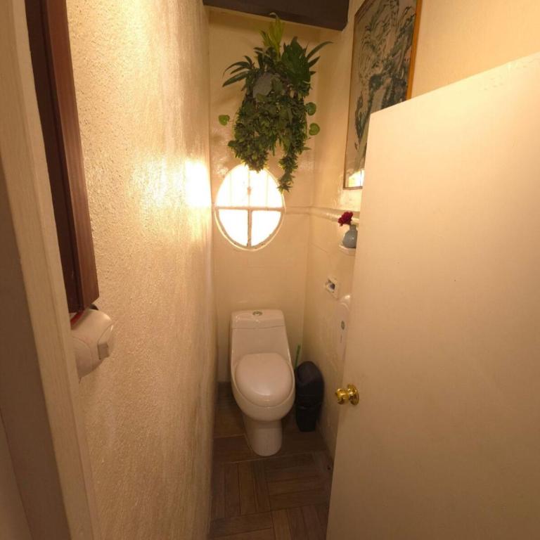Balcón de Frida - Apartamento de 3 dormitorios - 23