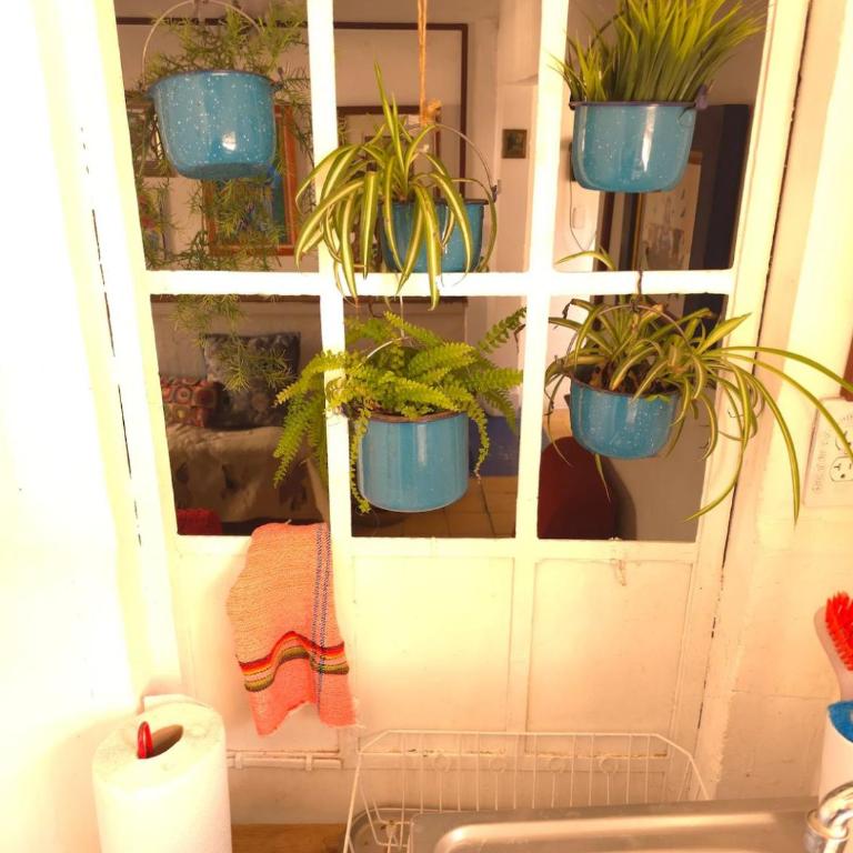 Balcón de Frida - Apartamento de 3 dormitorios - 25