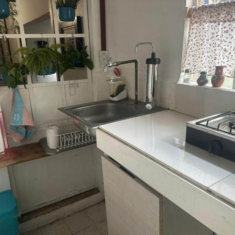 Balcón de Frida - Apartamento de 3 dormitorios - 35