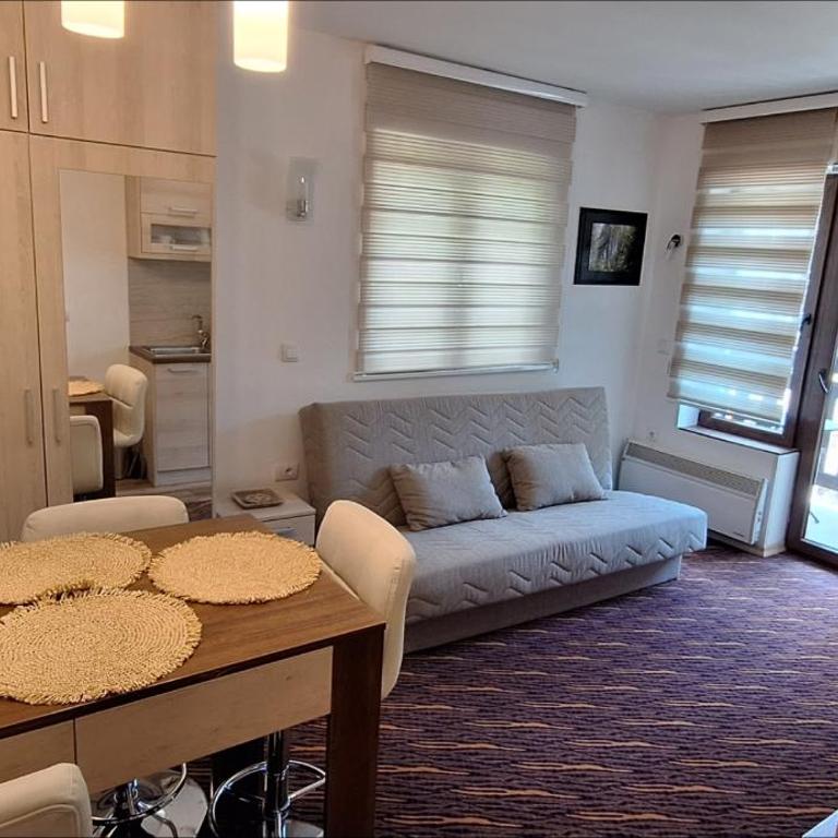 Vila Zvončica, apartman Puzović 21 - Apartman sa 1 Spavaćom Sobom - 10