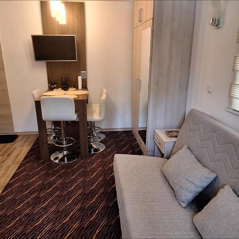 Vila Zvončica, apartman Puzović 21 - Apartman sa 1 Spavaćom Sobom - 9