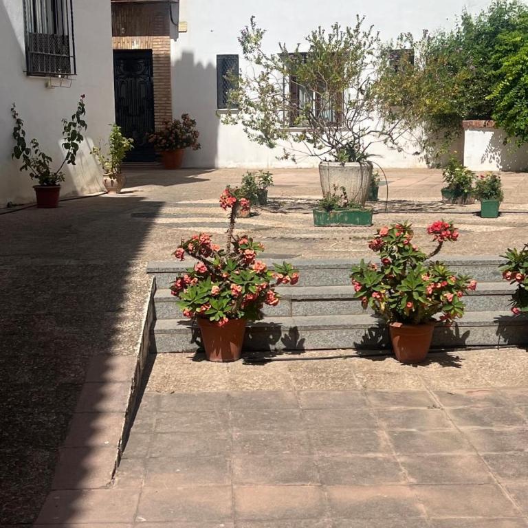La Sacristía de San Pablo - Apartamento de 2 dormitorios - 40