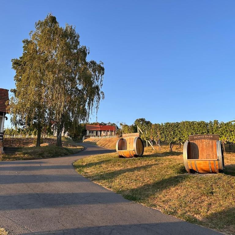 weiNtsicht am Seindl - Haus mit 1 Schlafzimmer - 42