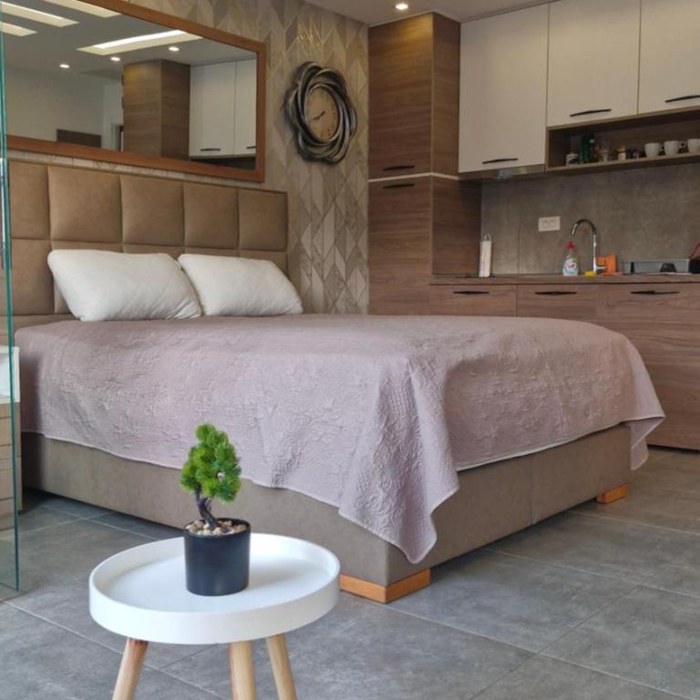 Дринске дивизије 9 apartman - One-Bedroom Apartment - 11