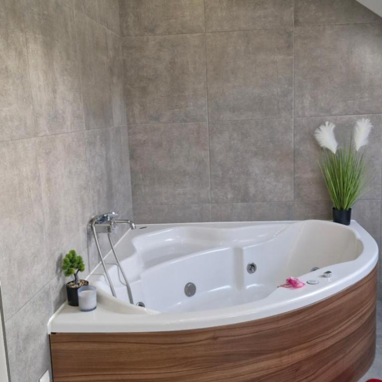 Дринске дивизије 9 apartman - One-Bedroom Apartment - 22
