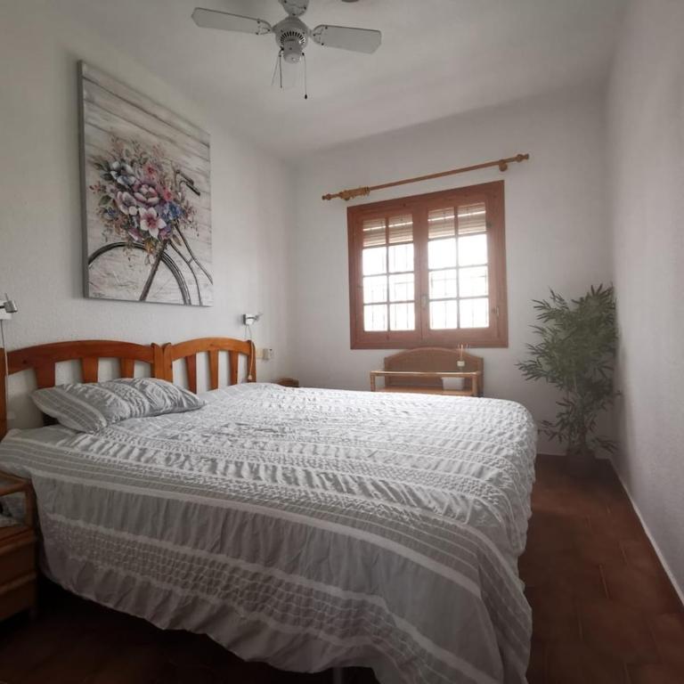 Apartamento ale - Casa de 2 dormitorios - 4