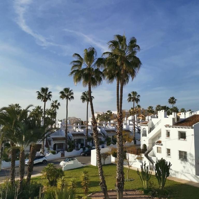 Apartamento ale - Casa de 2 dormitorios - 13
