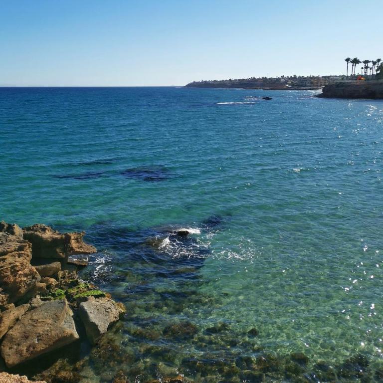Apartamento ale - Casa de 2 dormitorios - 21