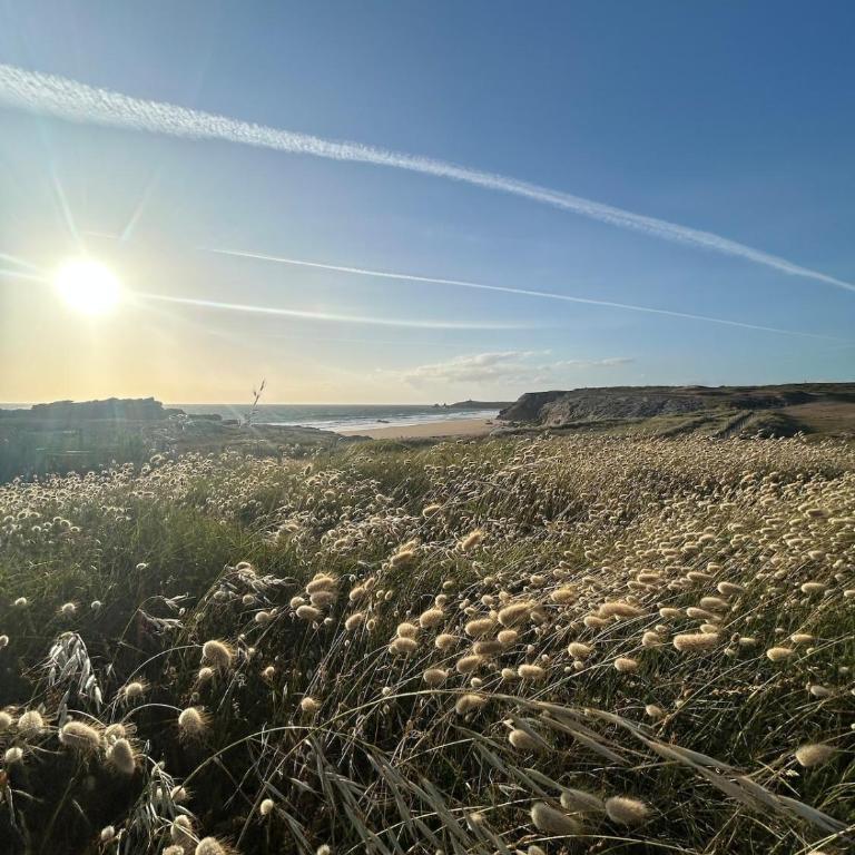 Les Embruns du Menhir, maison de vacances lumineuse à Quiberon proche des plages et thalassothérapie - Ferienhaus mit 3 Schlafzimmern - 37