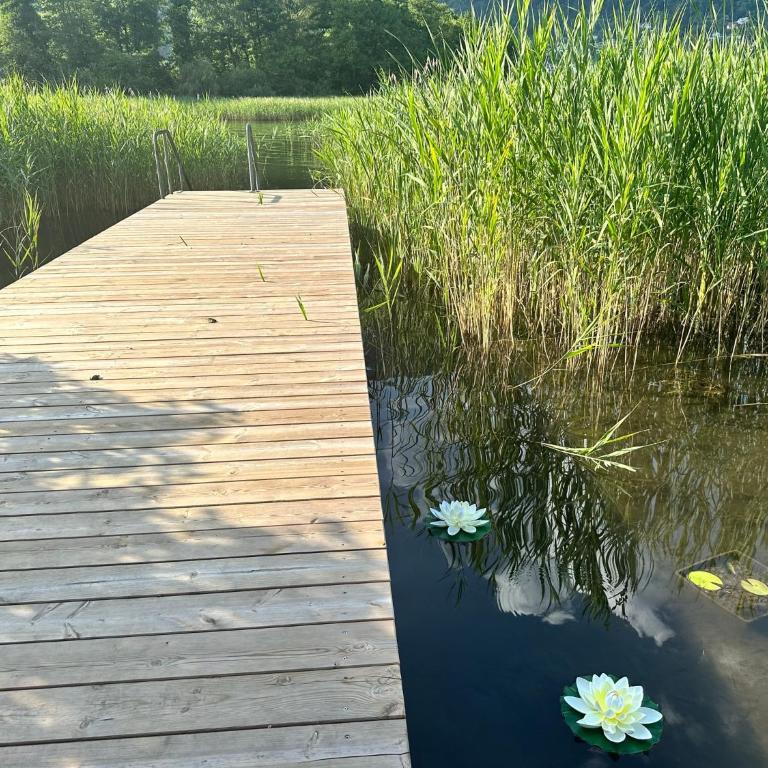Camp O Lake Haus am See - Chalet mit 2 Schlafzimmern - 2