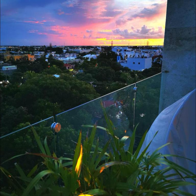 Luxury Condo in Centro Playa with Pool - One-Bedroom Apartment - 24