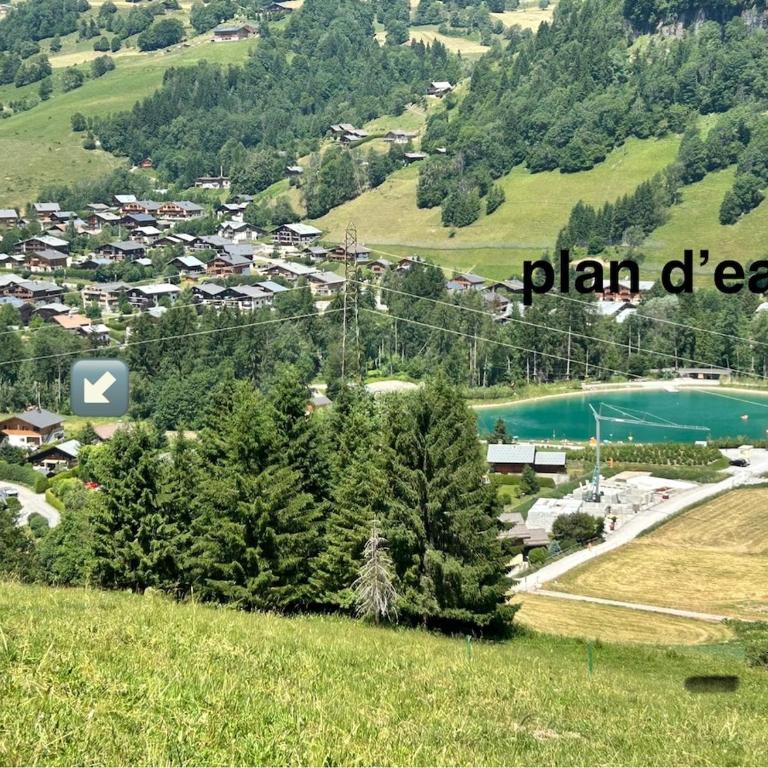 Appartement au calme praz sur Arly - Appartement 1 Chambre - 17