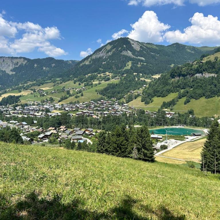 Appartement au calme praz sur Arly - Appartement 1 Chambre - 16