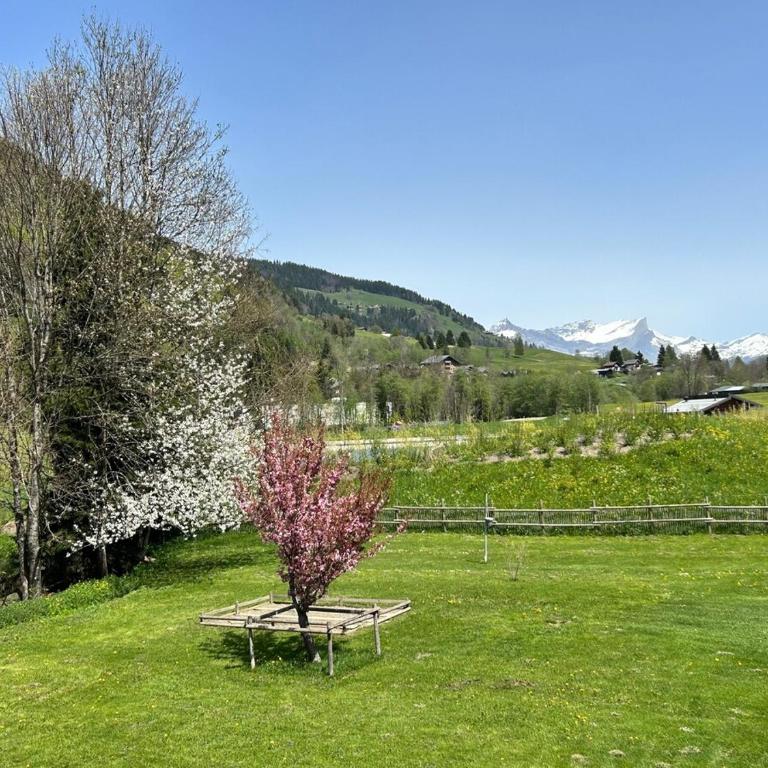 Appartement au calme praz sur Arly - Appartement 1 Chambre - 19