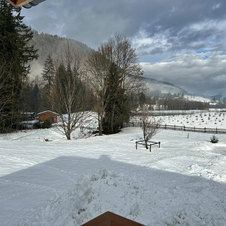 Appartement au calme praz sur Arly - Appartement 1 Chambre - 11