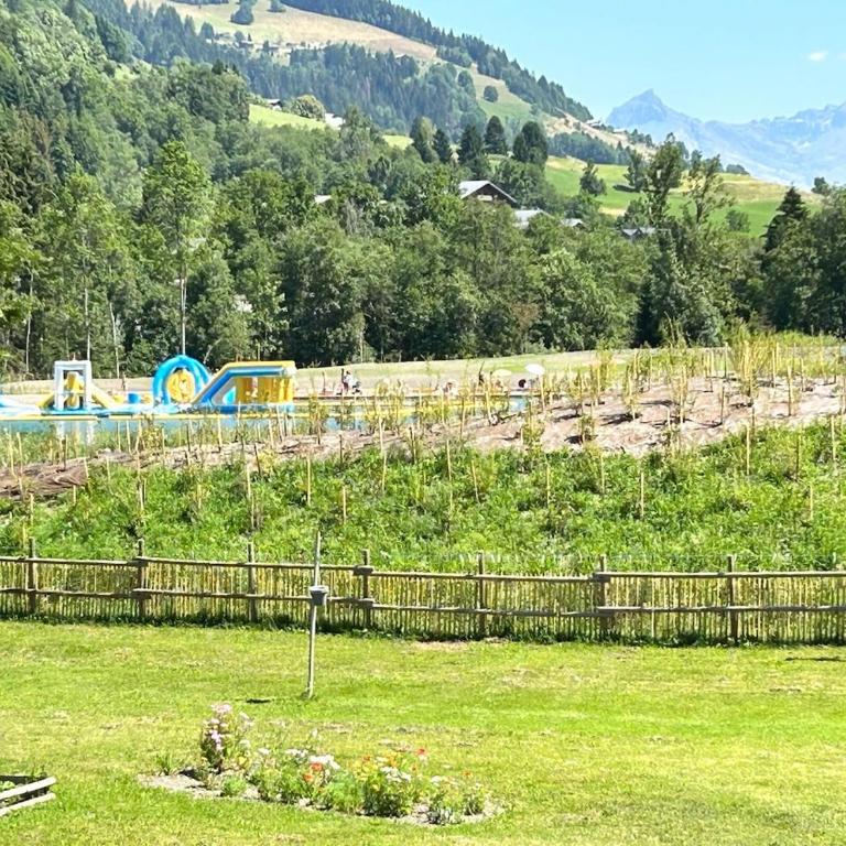 Appartement au calme praz sur Arly - Appartement 1 Chambre - 20