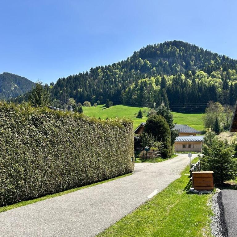 Appartement au calme praz sur Arly - Appartement 1 Chambre - 21