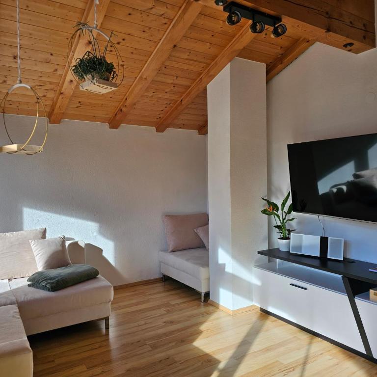 Zilleralps Fewo - Apartment mit Blick auf die Berge - 7