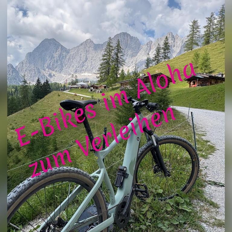 Aloha Suite - Schladming Dachstein - Apartment mit 2 Schlafzimmern und Terrasse - 19