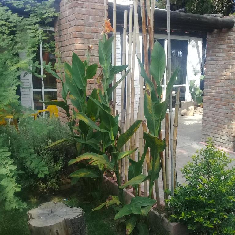 Complejo LOS PINOS - Casa de 3 dormitorios - 6