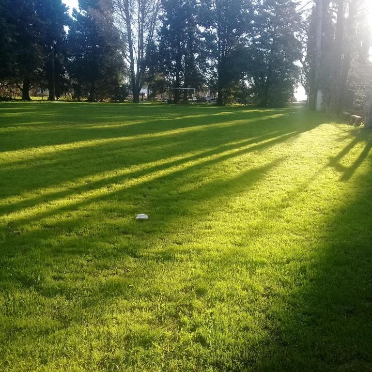 Complejo LOS PINOS - Casa de 3 dormitorios - 26