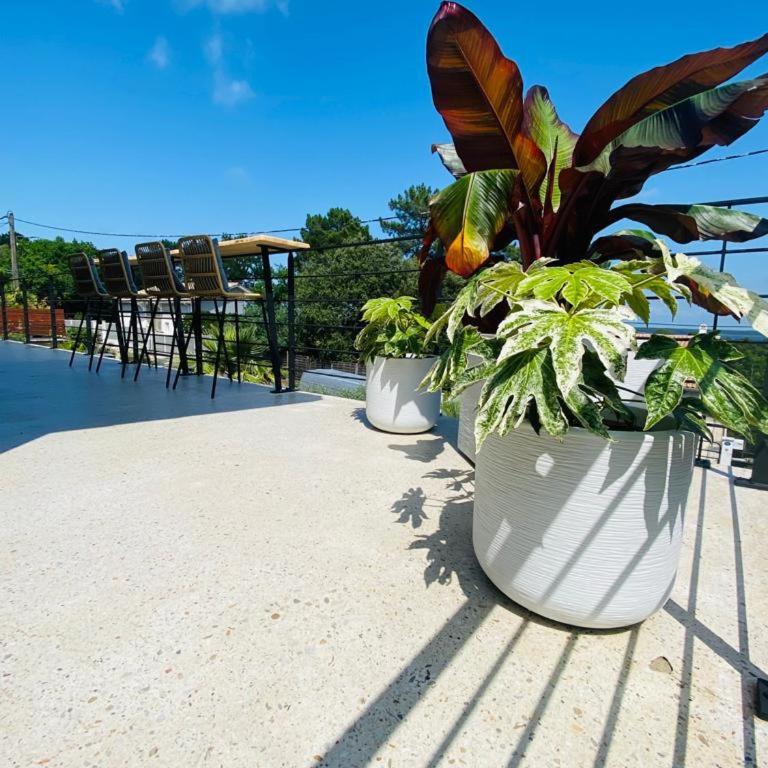 Villa de luxe avec piscine et vue imprenable sur le lac - Villa - Vue sur Mer - 15
