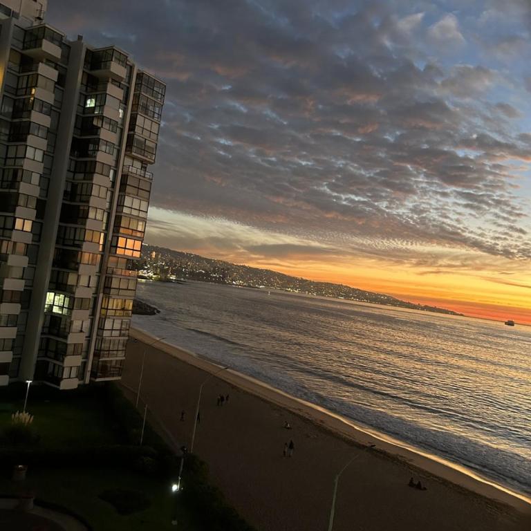 Preciosa vista Viña - San Martin 10 Norte - Two-Bedroom Apartment - 3