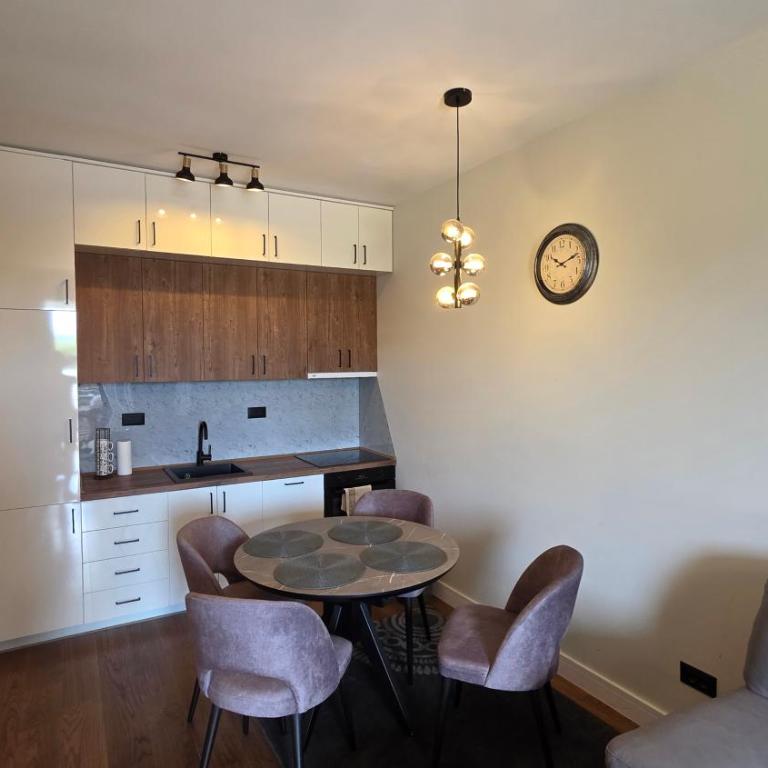 Apartman Milica - Apartman sa 1 Spavaćom Sobom - 3