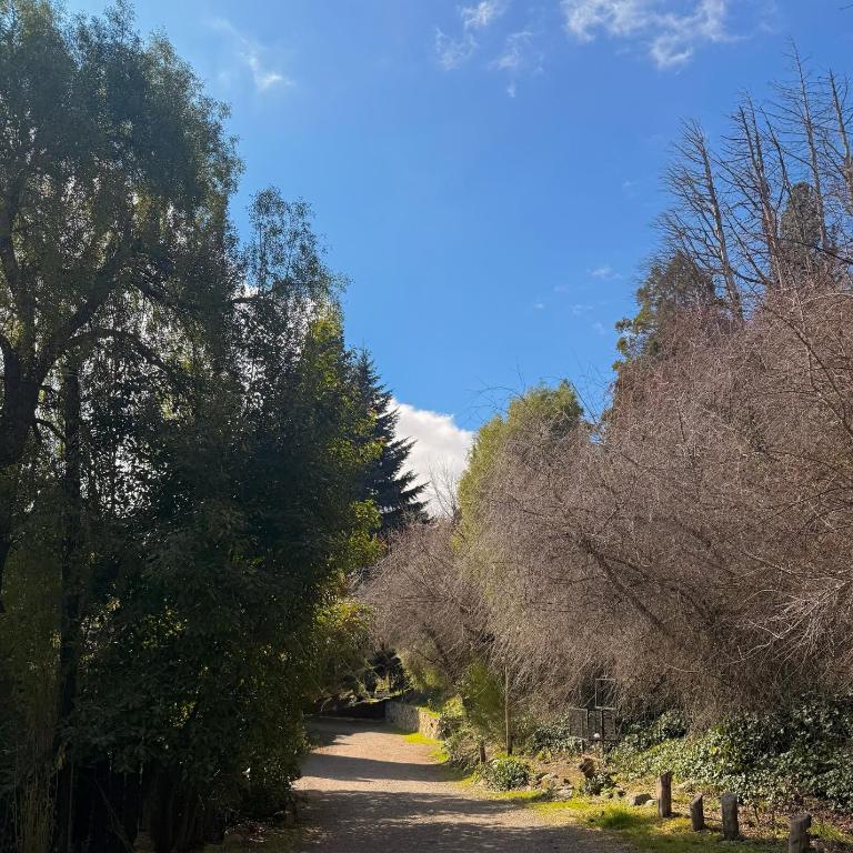 Apart del Maiten - Apartamento - 2 niveles - 8