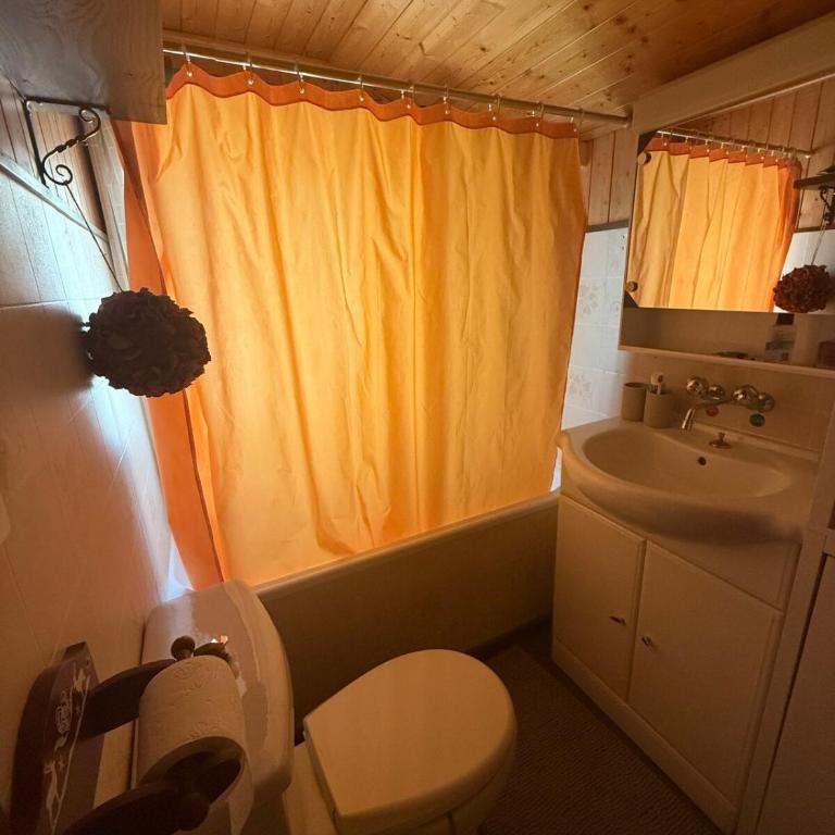 Chalet Opalpin Lodge & Spa, vue montagne et jacuzzi - Chalet - 23