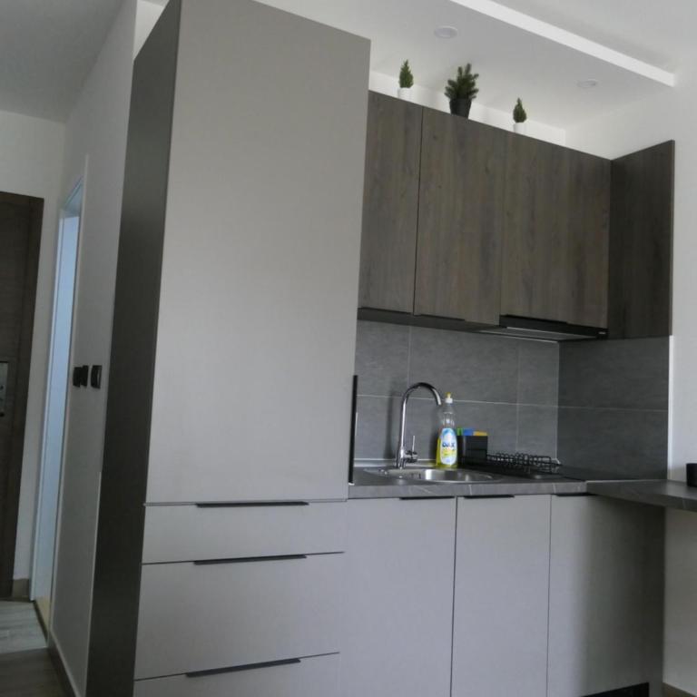 Andromeda Apartment Residence Hill Kopaonik - One-Bedroom Apartment - 16