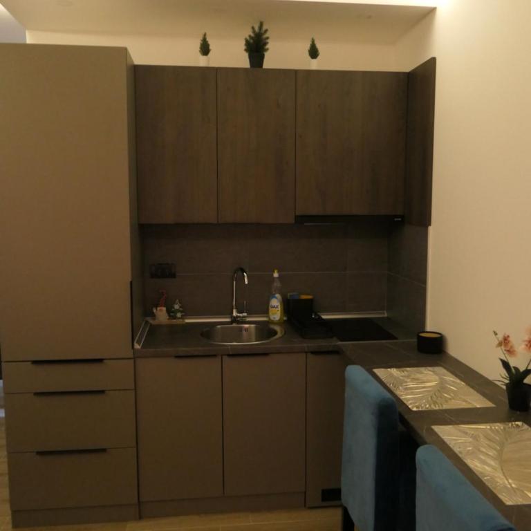 Andromeda Apartment Residence Hill Kopaonik - One-Bedroom Apartment - 12