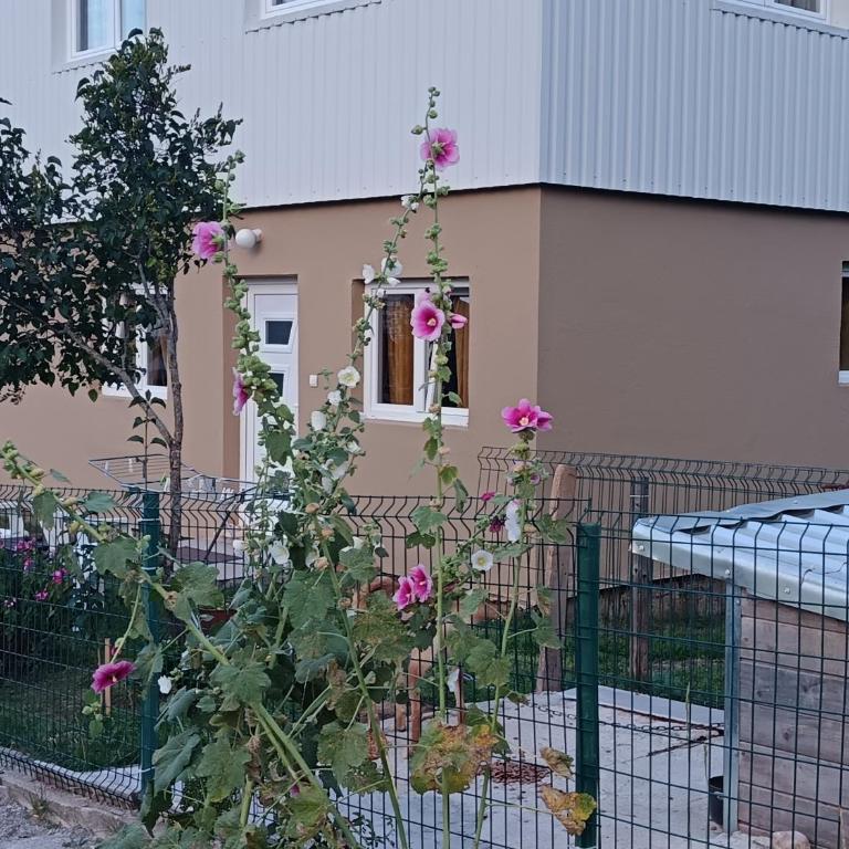 Mona apartman - One-Bedroom Apartment - 15
