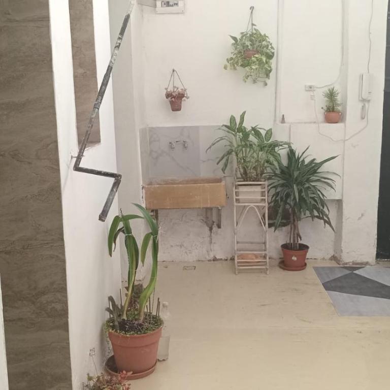 Casa en Chacarita - Two-Bedroom Apartment - 12