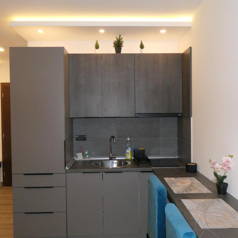 Andromeda Apartment Residence Hill Kopaonik - One-Bedroom Apartment - 9