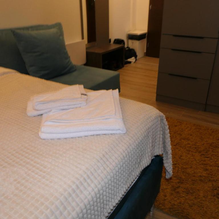 Andromeda Apartment Residence Hill Kopaonik - One-Bedroom Apartment - 48
