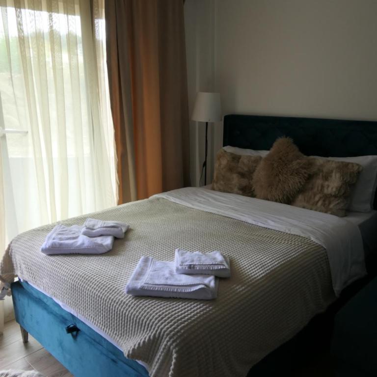 Andromeda Apartment Residence Hill Kopaonik - One-Bedroom Apartment - 2